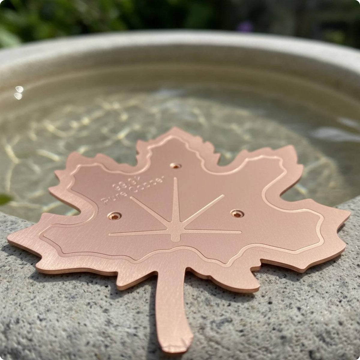 Bird Bath Disk Included Birdbath Purification Disc Easy to Place
