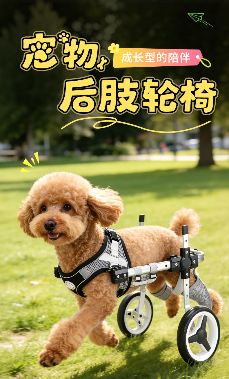Pet Wheelchair for Dogs - Four-Wheel Dog Disability Training and Rehabilitation Aid for Senior Pets