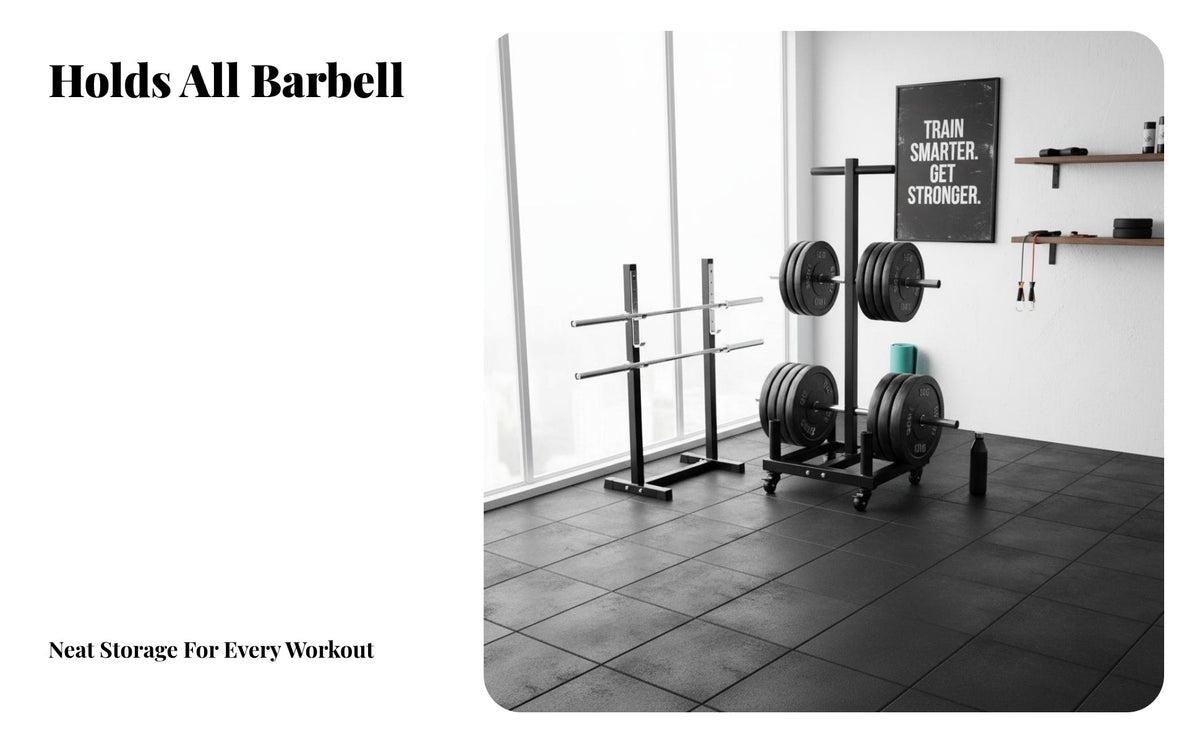 Barbell and Plate Storage Rack Space Saving Barbell and Weight Disc Holder Heavy Duty Vertical Weight Stand for Personal Trainers, Fitness Studio