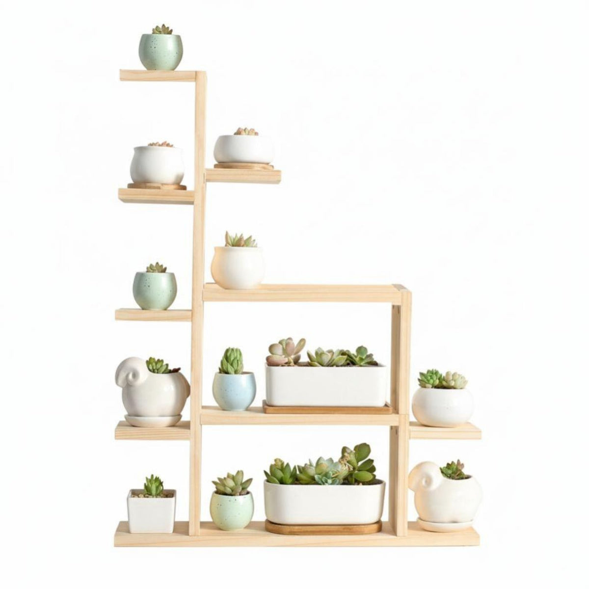 Multi-Tier Succulent Rack Staggered Levels Plant Stand Sturdy Construction