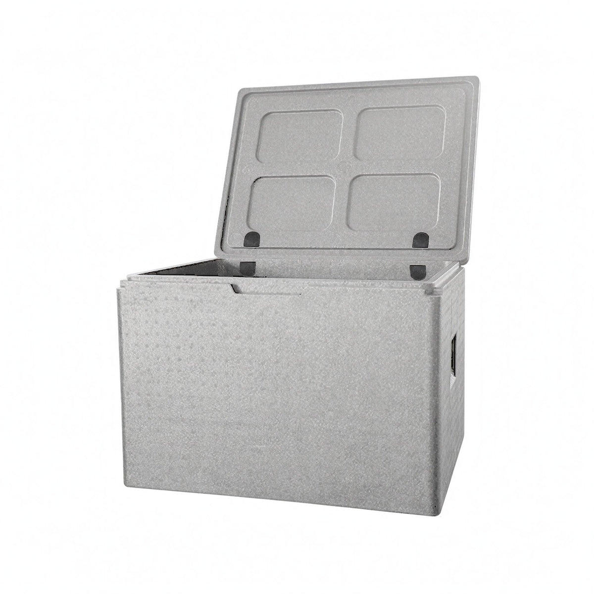 Rectangular Cooler Chest Foam-Textured Food Storage