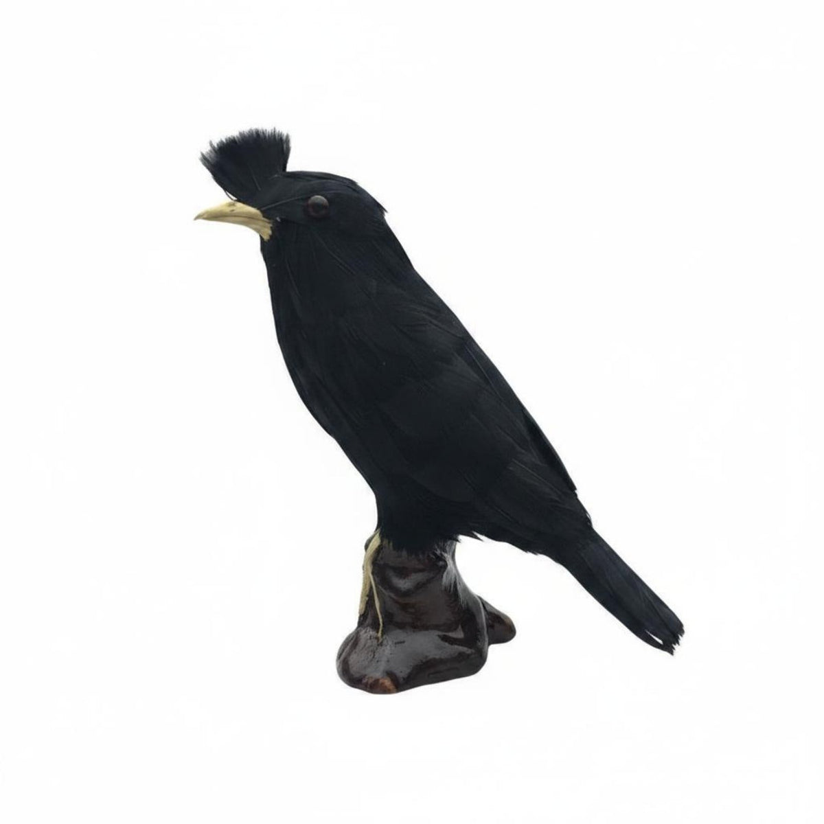 Holiday Prop Artificial Dove Figurine Feathered Surface Fake Dove Figurine Garden Decoration Black Bird Ornament Lifelike for Halloween, Christmas