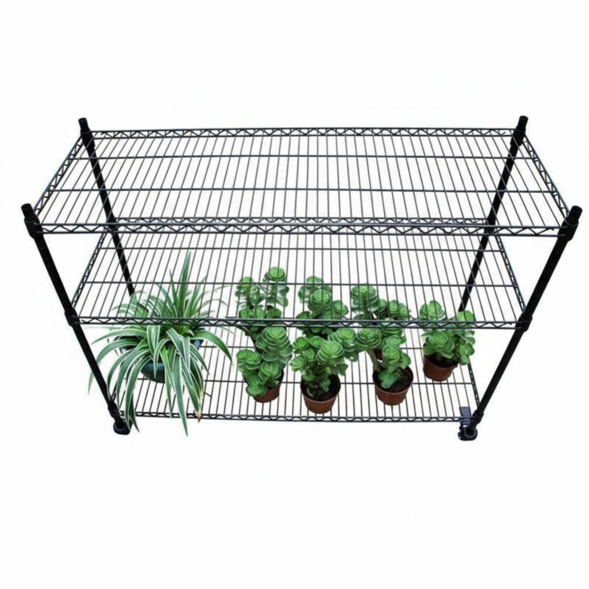 Multi-Tier Rolling Plant Stand Adjustable Shelves Multi-Level Plant Stand sturdy Duty Weather-Resistant for Sunroom, Living Room