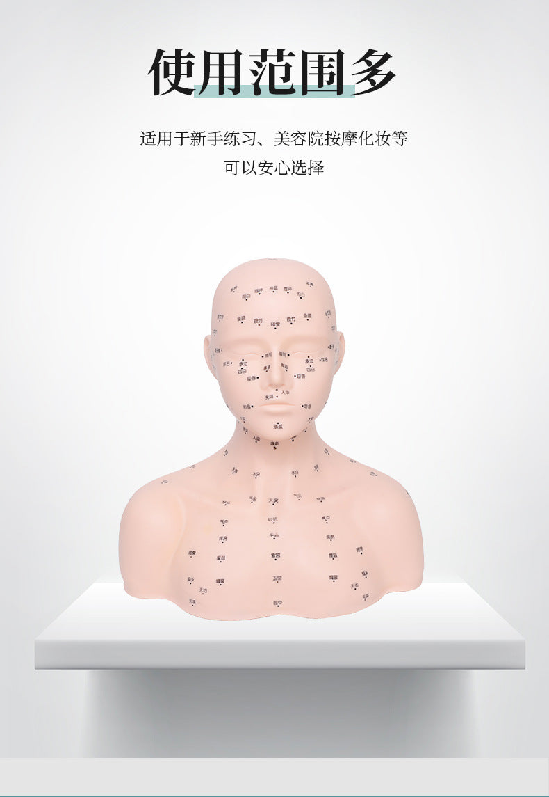 Skin Care Head Model for Beauty Salon Face Acupoint Massage Practice