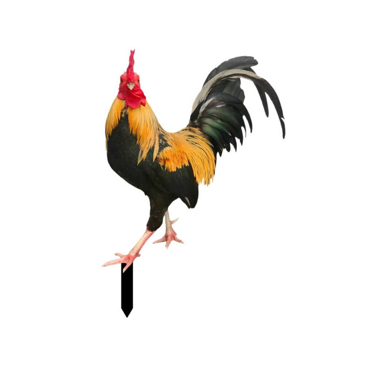 Outdoor Acrylic Cock Garden Stake Weatherproof Cock Yard Sign with Ground Stake Farmhouse Chicken Garden Stakes for Homeowners