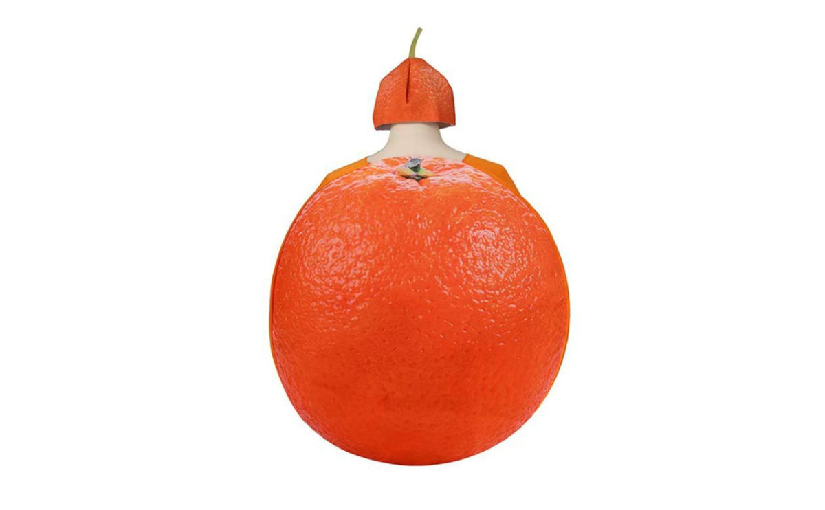 Orange Fruit Costume Easy to Wear Novelty Clothing Funny Design for Party