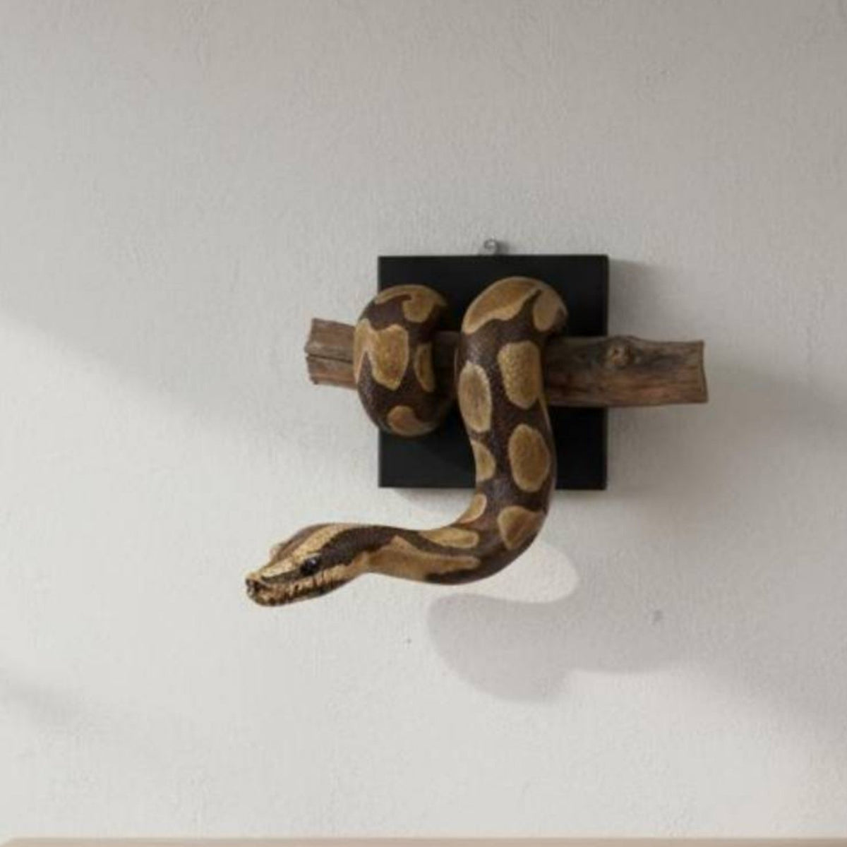 gold ball Python Wall Sculpture Handcrafted Aesthetic Python Wall Decor Resistant Resin Snake Sculpture for Office