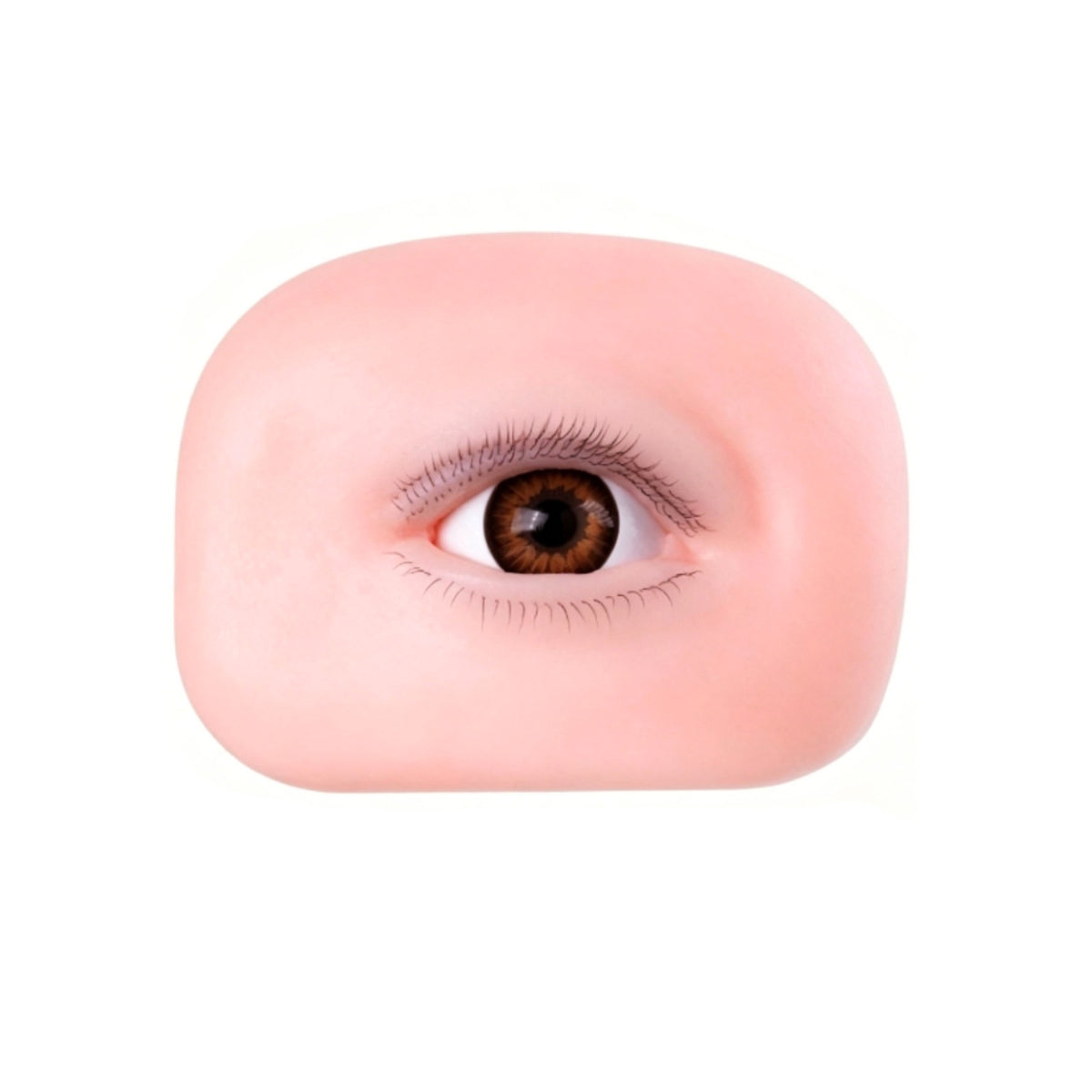 Eye Practice Model Soft Silicone Eye Model Beauty Training Item Life-Size Eco-Friendly for Makeup Artists
