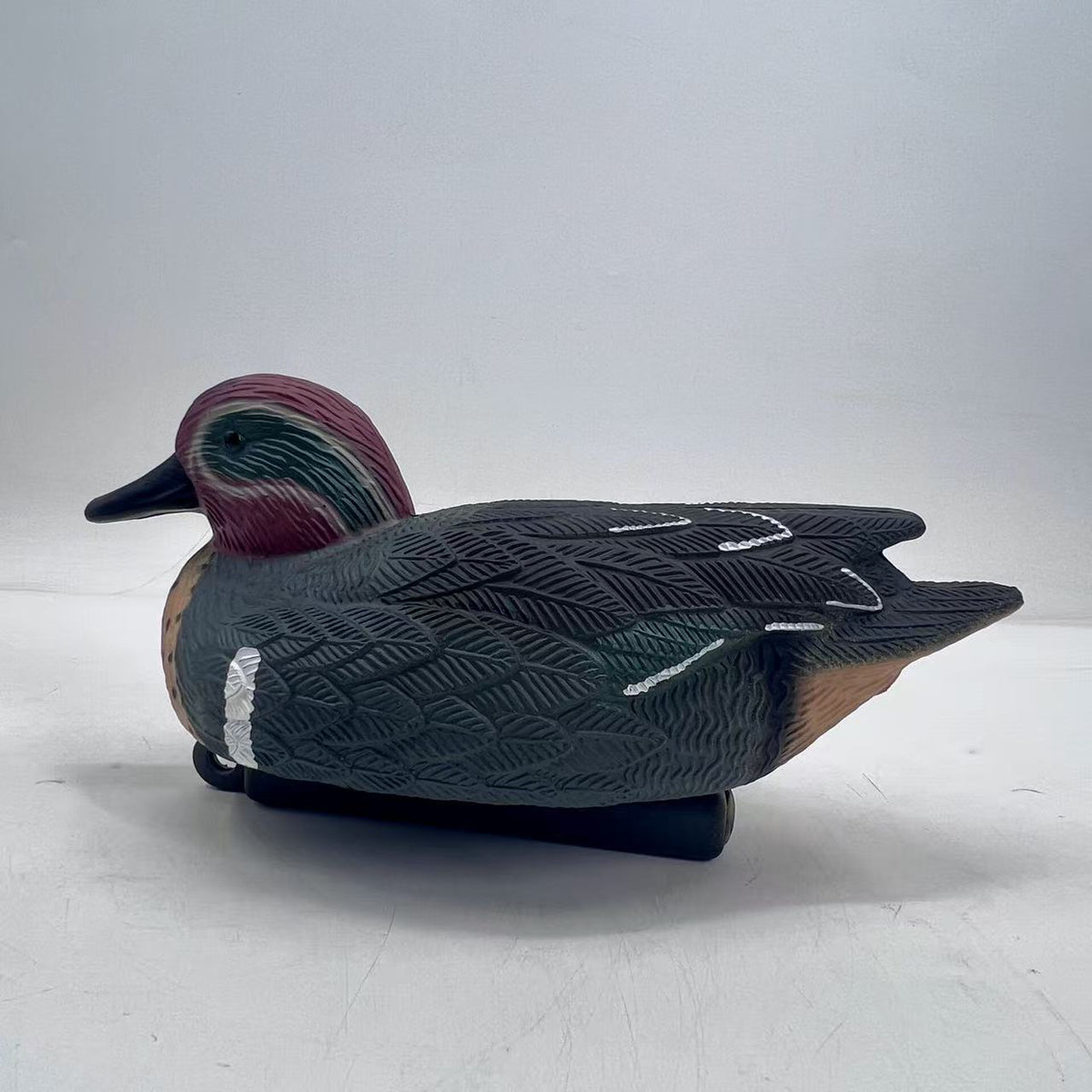 Floating Male Duck