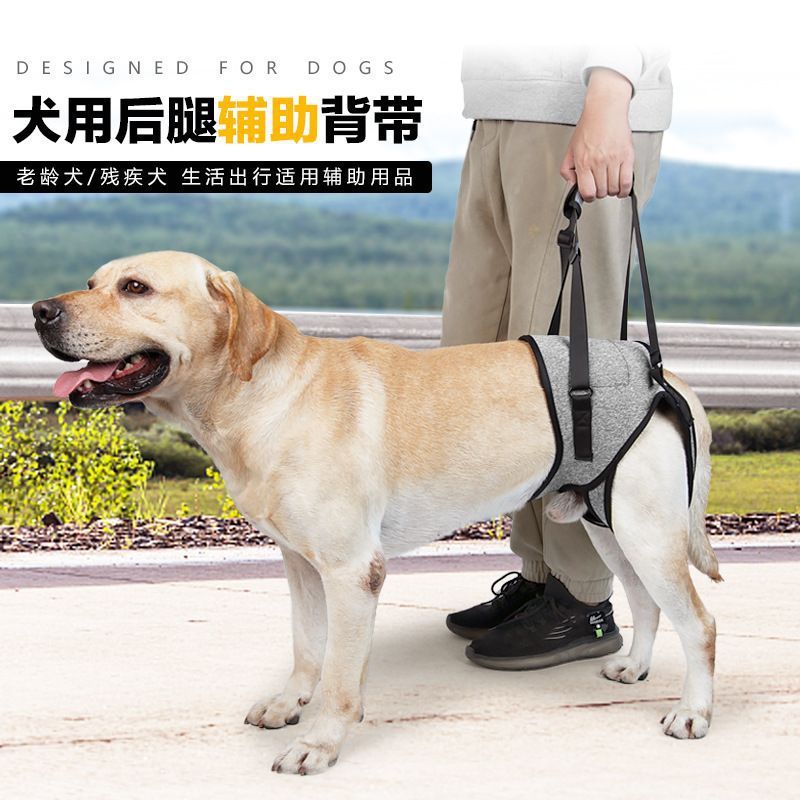 Pet Dog Rear Leg Support Harness for Injured or Elderly Dogs