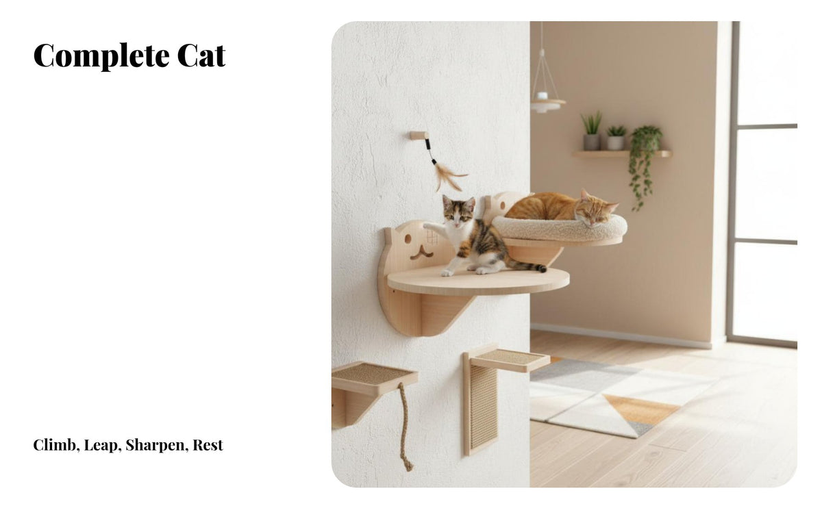 Pegboard Cat Climber Transparent Space Capsule personalizedizable Cat Activity vertical panel-mounted DIY Layout Pet Furniture for People with Small Homes