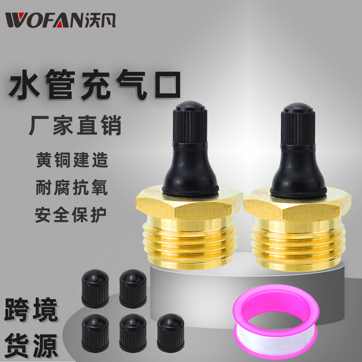 Lead-Free Brass Air Nozzle for RV Winterizing