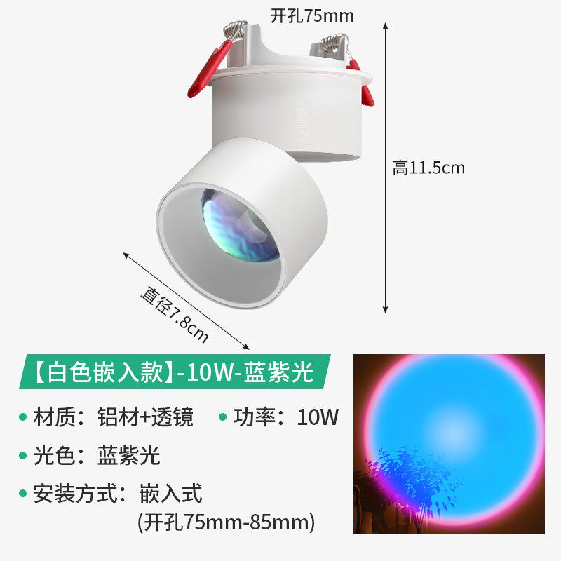 10W / Rec Fold Wht Blupurp
