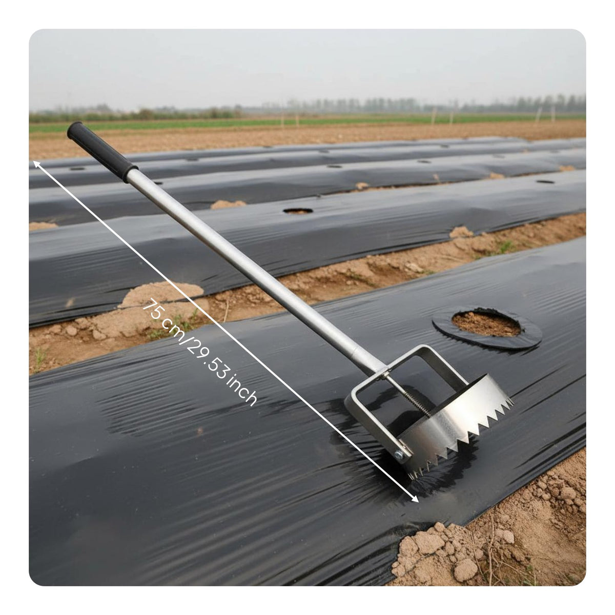 Mulch Film Hole Puncher Labor-Saving Planting Tool Adjustable Length for Farmers