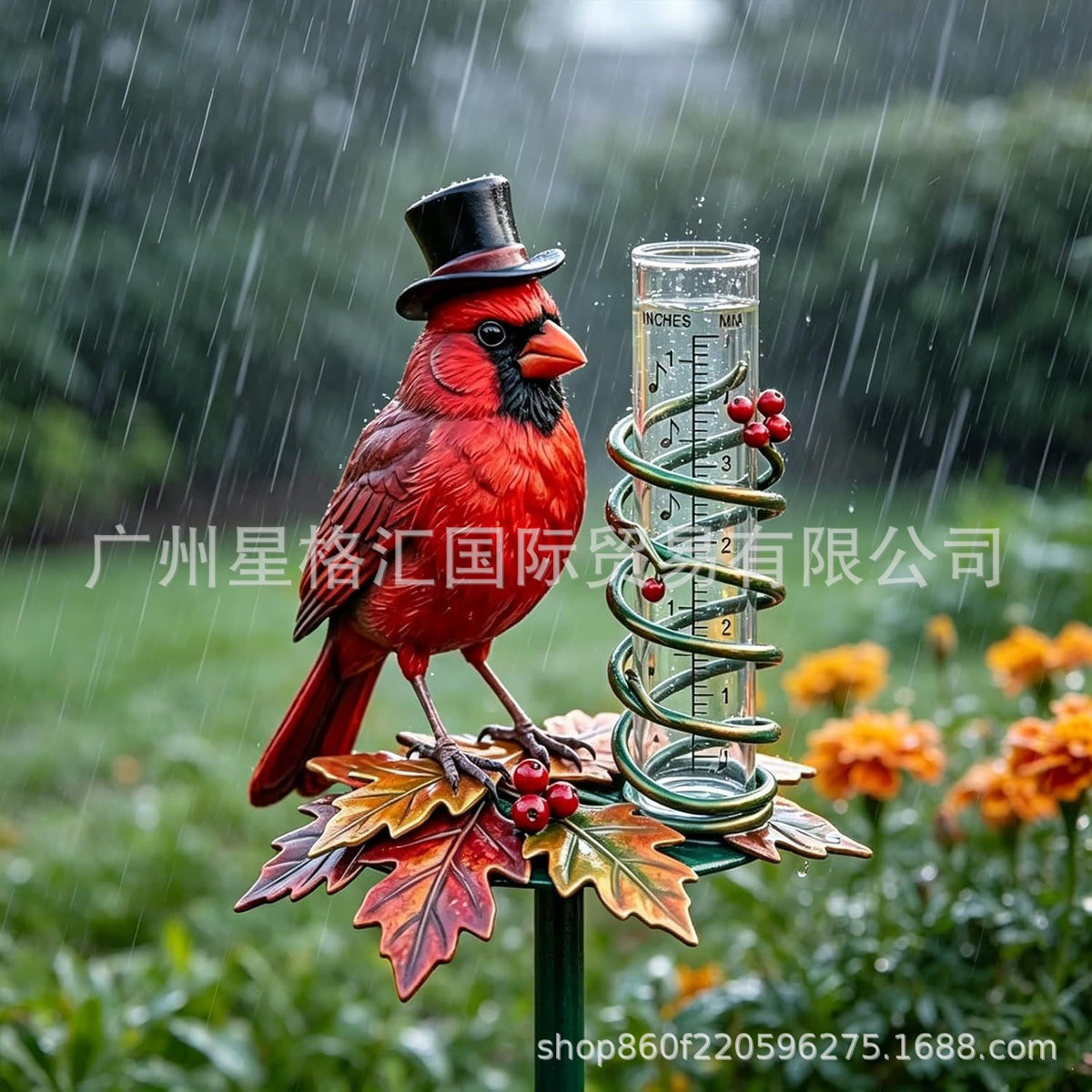 Cardinal Bird
