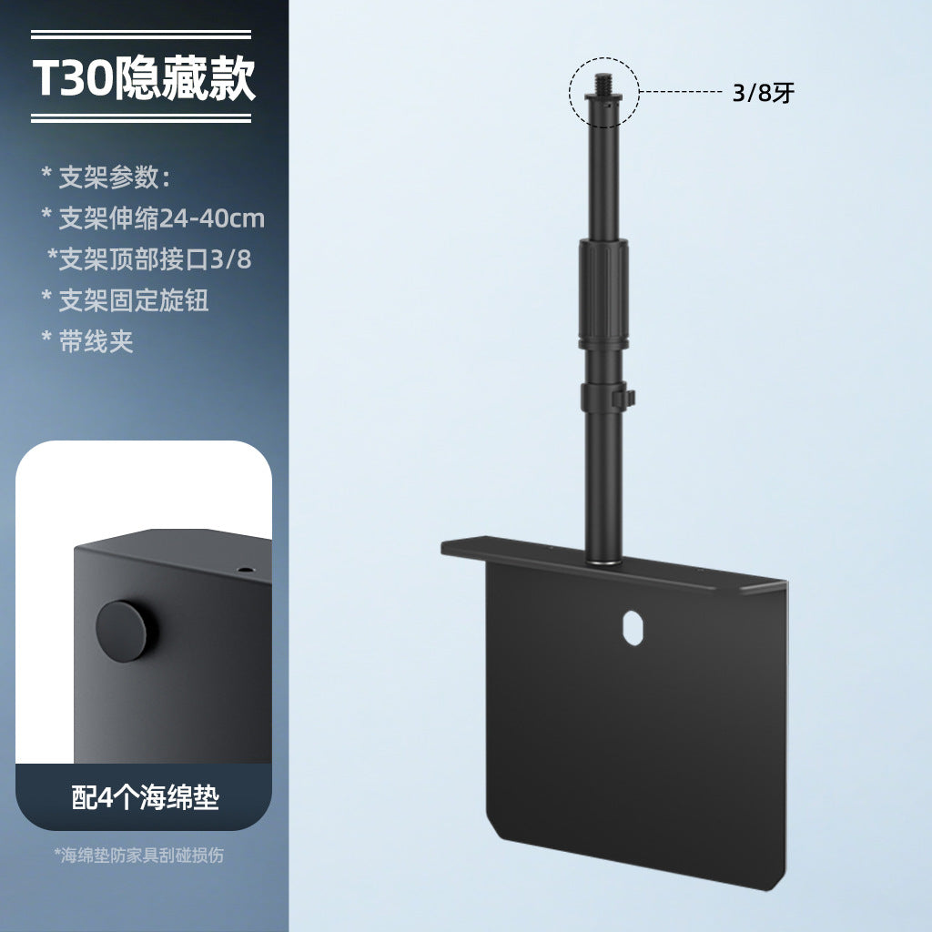 T30 Hidden 25 Rod