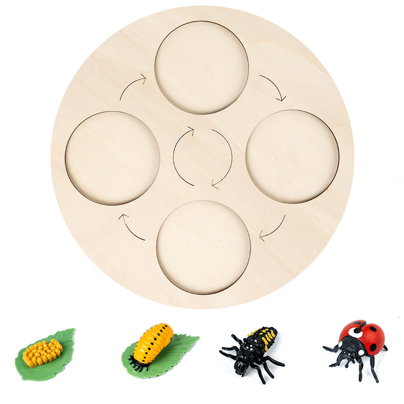 4-grid Ladybug