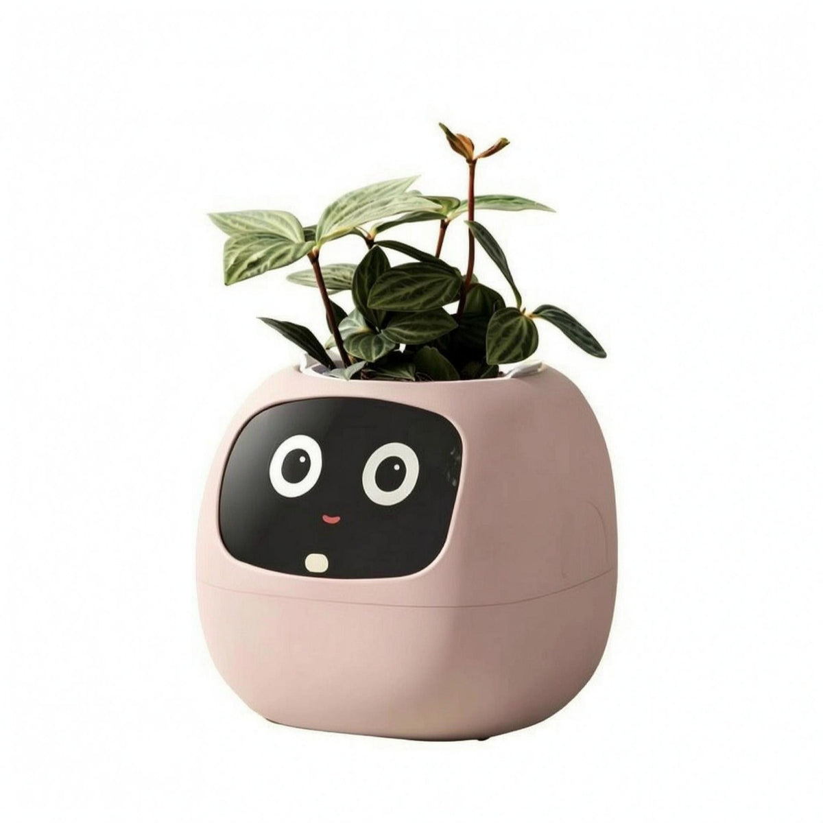 Face Planter One-Piece Desktop Planter Space-Saving