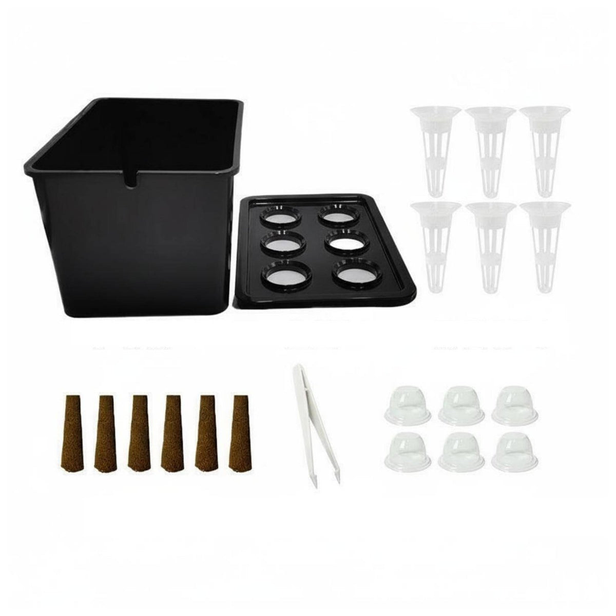 Hydroponic Growing System Easy to Manage Soilless Cultivation Box for Beginners