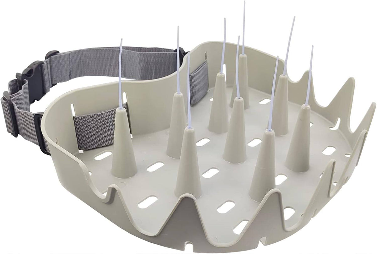StreamSence Fly Line Storage Basket with Dividers