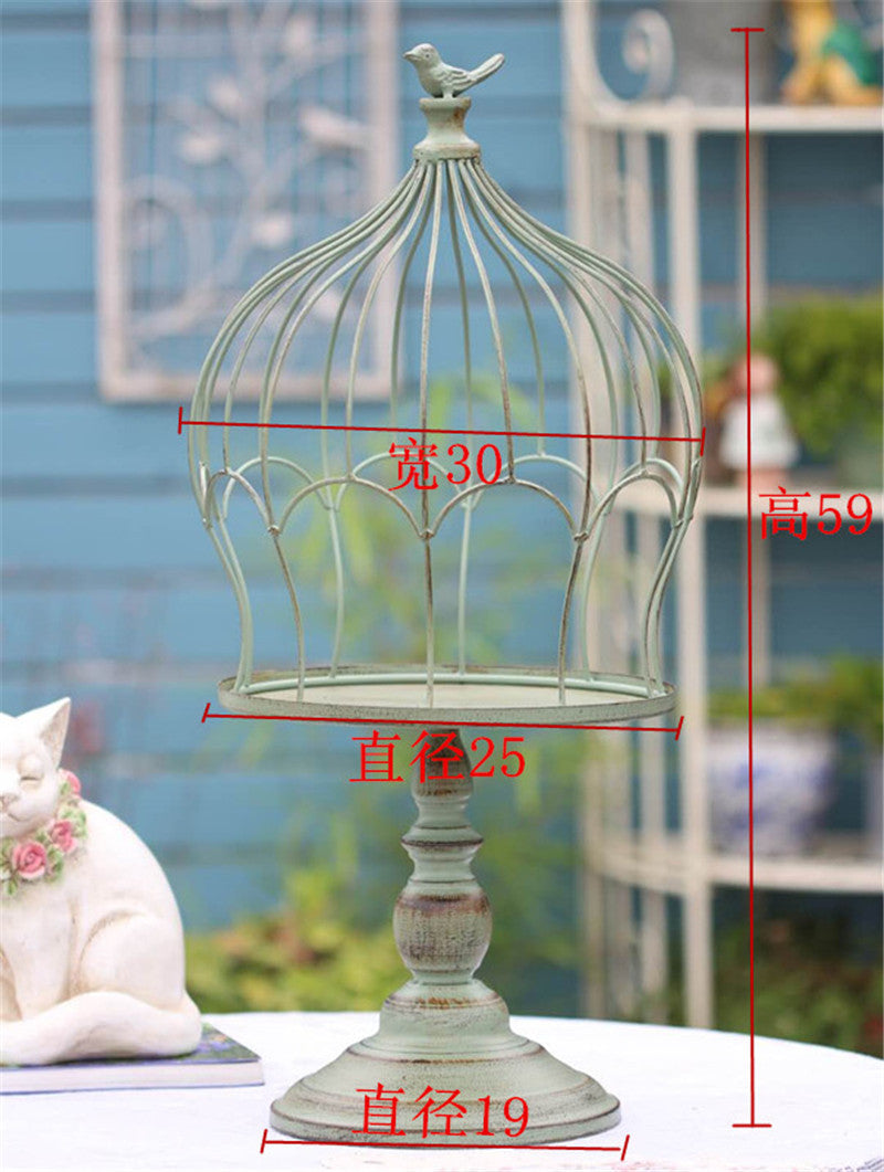 Birdcage Plant