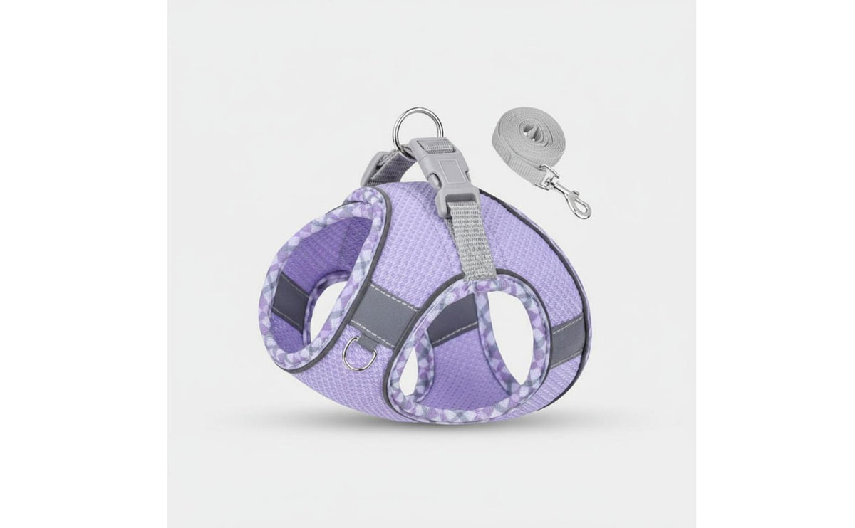 Dog Harness and Leash Set Lightweight Effortless-Entry Puppy Harness Quick Release Buckle Breathable Mesh Pet Vest for Small Dogs, Young Dogs, Outdoor