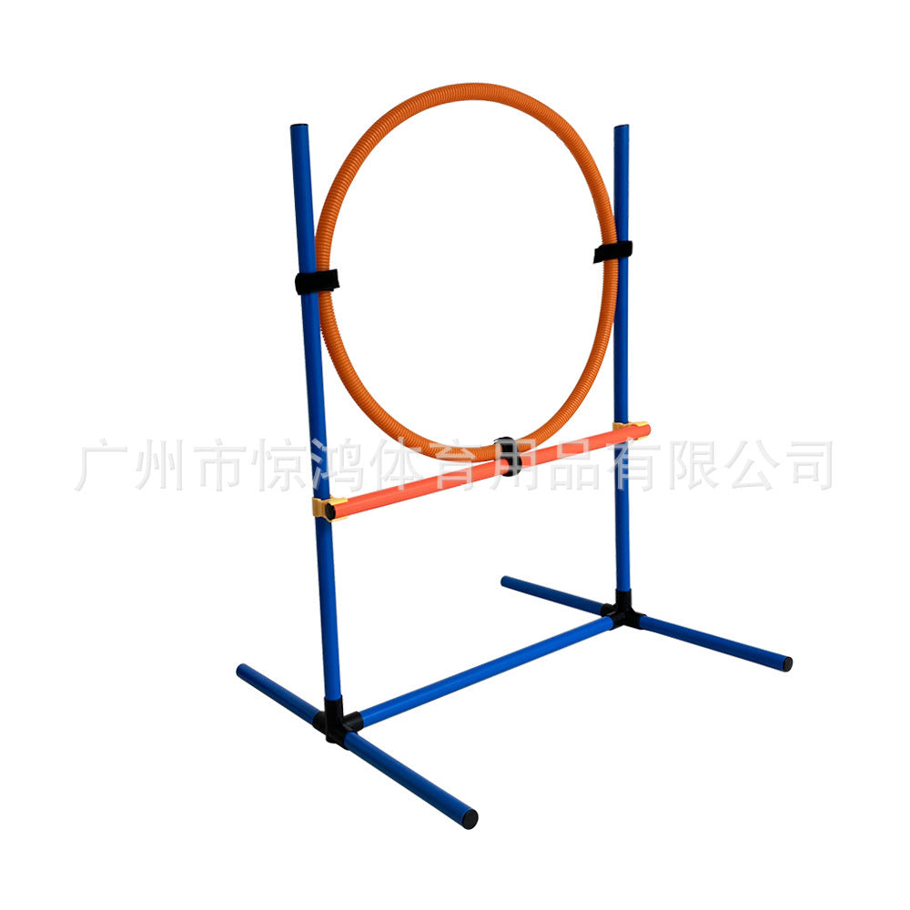 Indoor Jump Hoop 002