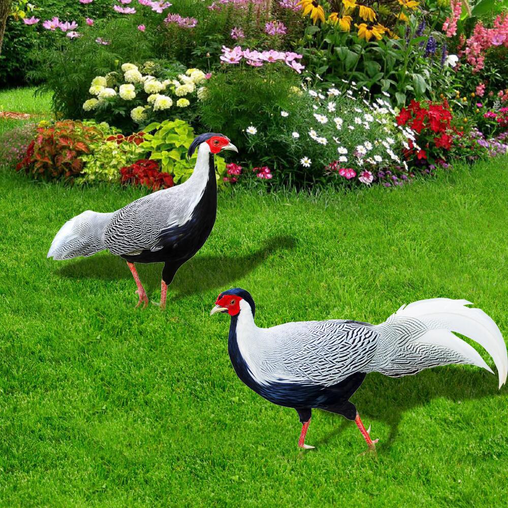 Yiwol 3mm Double-Sided Printed Acrylic Chicken Yard Art Garden Stake