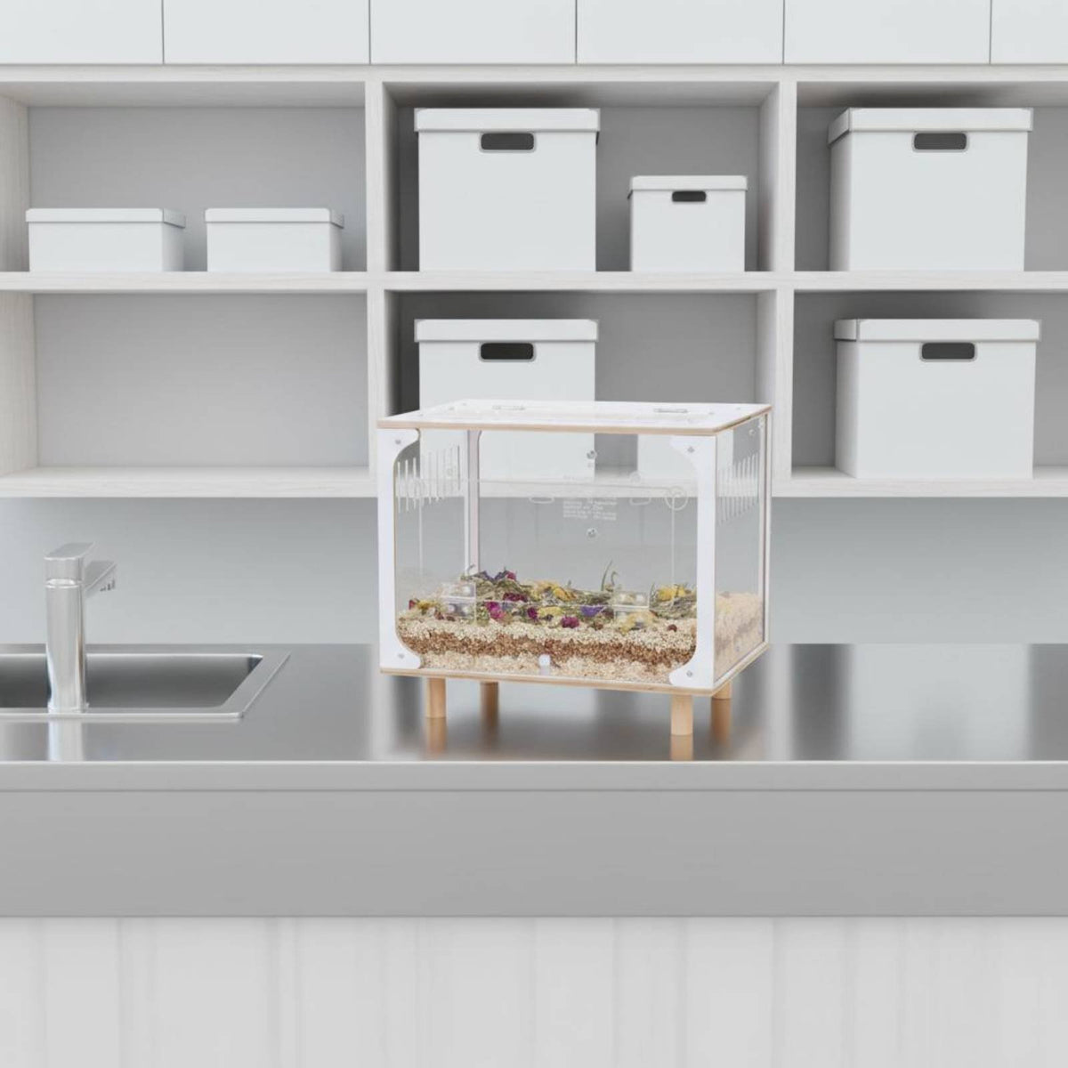 Acrylic Hamster Enclosure Spacious Interior Transparent Hamster Enclosure Easy