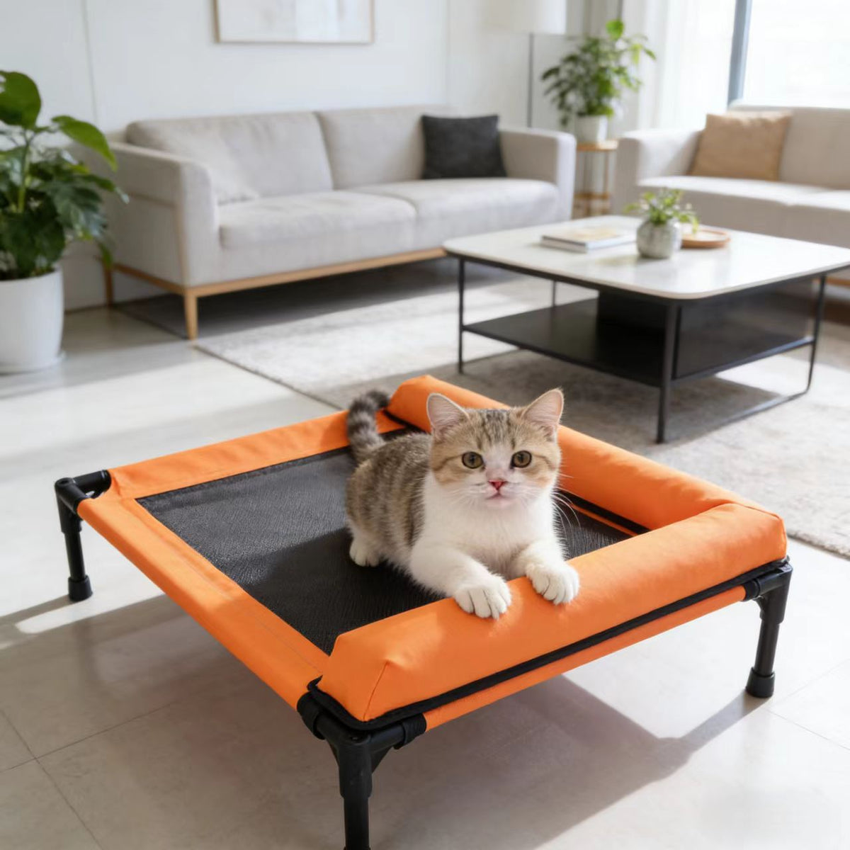 Orange / M