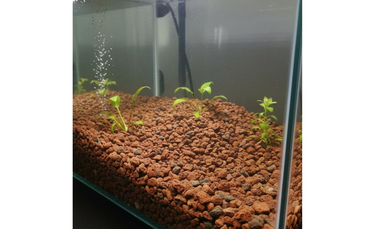 Red Volcanic Rock Cultivates Beneficial Red Volcanic Rock Aquascaping Volcanic Stone Natural Bio-Filtration for Potted Plants