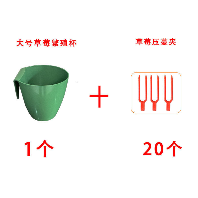 L / 1 PACK