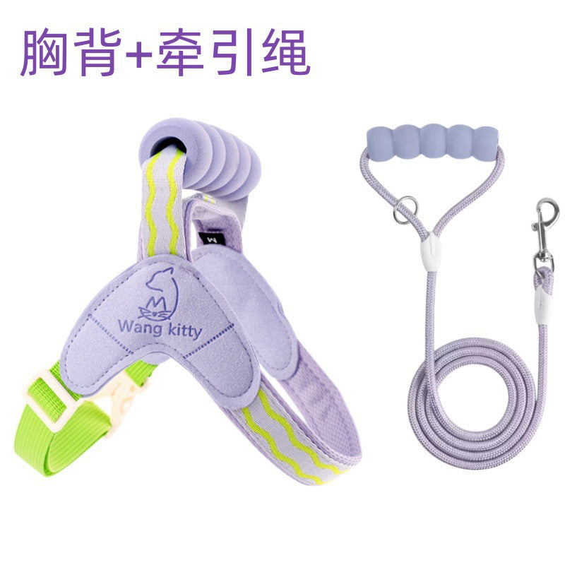 Xs / Purple Harness SET