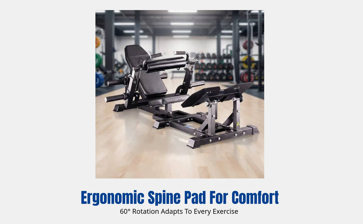 Multi-Dimensional Pelvic Thrust Machine, Glute Bridge Adjustable Gym Equipment, For Glute Muscle Training, Indoor Fitness