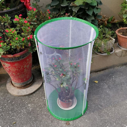 Butterfly Observation Enclosure Clear Viewing Window Mesh Butterfly Habitat