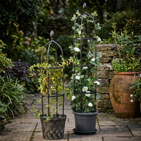 Garden Decor Iron Art Garden Trellis for Climbing Plants, Heavy Duty Plant Support Garden Obelisk, European Style Tomato Cage for Potted Plants