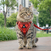 Cat Harness and Leash Set, Polyester Vest Style Adjustable Walking Harness for Outdoor Use, Secure Non-Retractable Cat Walking Leash Accessory