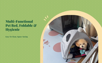 Foldable elevated dog bed, washable