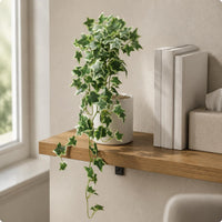Artificial Trailing Greenery Indoor Decoration Greenery Vine Floral Arrangement Home Decor