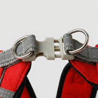Small Dog Harness with Leash, Solid Color Polyester Chest Strap and Flat Rope Walking Set, Easy Control Outdoor Training for Small Pets