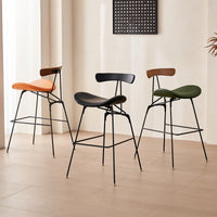Nordic Luxury Bar Stool with Iron Backrest