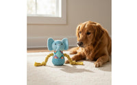 Cushioned Dog Gnaw Toy with Sound Dog Gnaw Toy Promotes Oral Health Pet Supply for Dogs