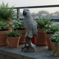 African Grey Parrot Statue Detailed Craftsmanship Resin Parrot Sculpture Versatile Decor Realistic Bird Figurine for Living Room, Balcony, Desktop