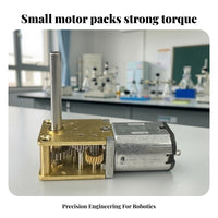High Turning Power Gear Motor With | Vertical Output Shaft, Worm Gear Motor, for Robotics