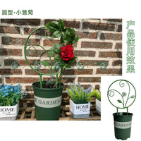 山乌龟绿植圆形花架铁线莲爬藤架绿萝攀爬架子桌面植物花卉造型架