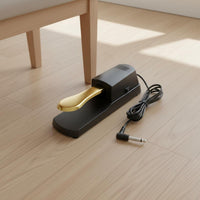 Sustain Pedal Polarity Switch Electronic Piano Foot Pedal Construction Synthesizer Footswitch for Pianists, Stage Performance
