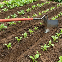 Triangular Hoe Multifunctional Furrow Hoe Portable Manual Weeder for Gardeners, Farm, Land Clearing