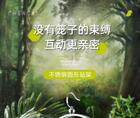 鹦鹉不锈钢站架虎皮牡丹玄凤互动鸟架训练玩耍磨爪架子挂架