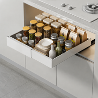 pull-out cabinet organizer