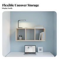 Single-Door surface Cabinet with accessible Shelf tooltooland complimentary installation for Living Room